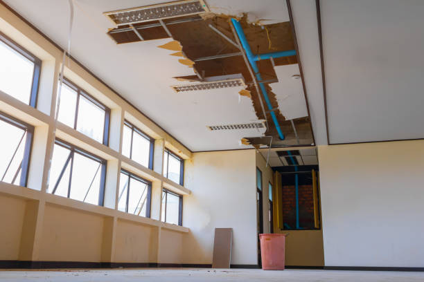 Best Water damage restoration services  in Green, OR