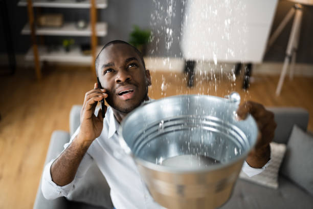 Best Sewage cleanup and water damage restoration  in Green, OR
