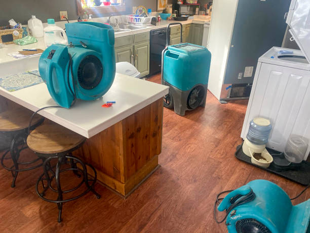 Best Mold removal after water damage  in Green, OR