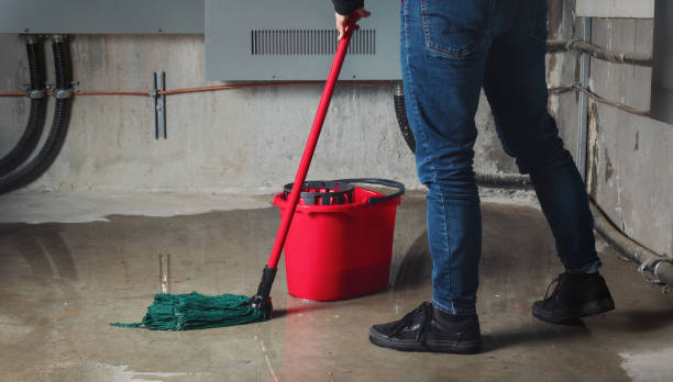 Best Water damage contractors near me  in Green, OR