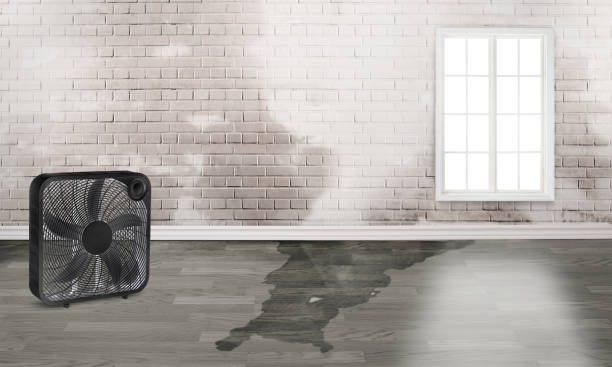 Best Flood damage cleanup  in Green, OR