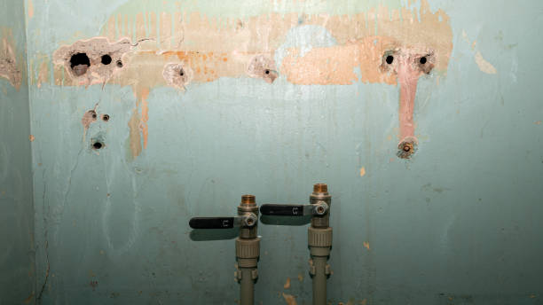 Best Water damage mitigation services  in Green, OR