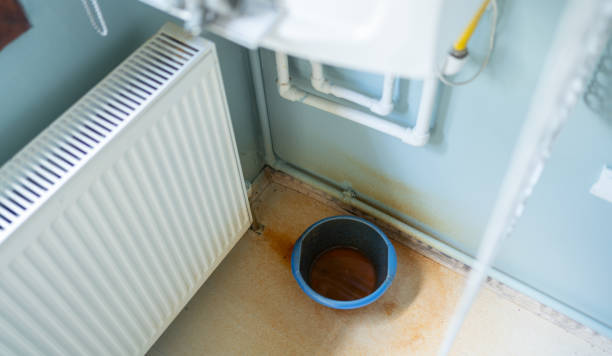Carpet water damage restoration in Green, OR