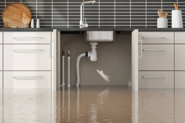 Water damage restoration insurance claims in Green, OR