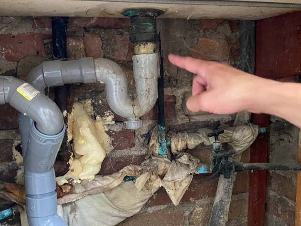Best Basement water damage restoration  in Green, OR
