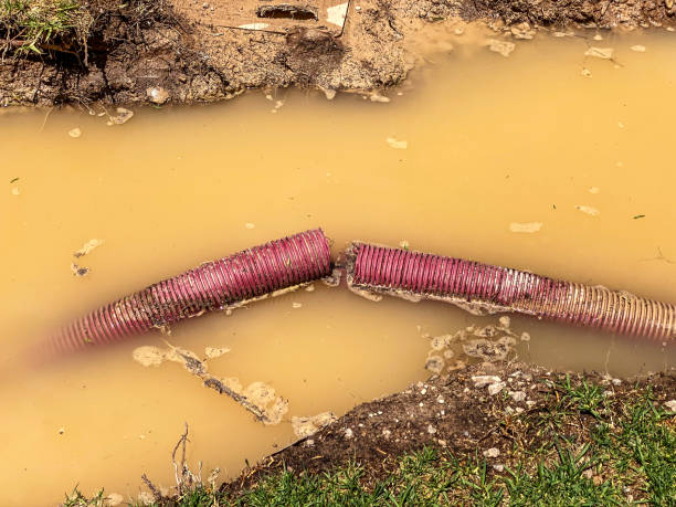 Best 24-hour water damage restoration  in Green, OR